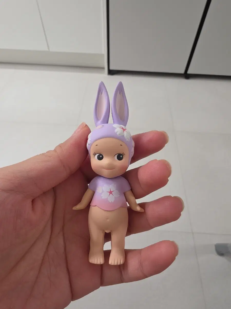 소니엔젤벚꽃토끼
