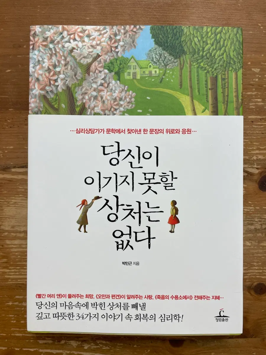 당신이 이기지 못할 상처는 없다 - 박민근