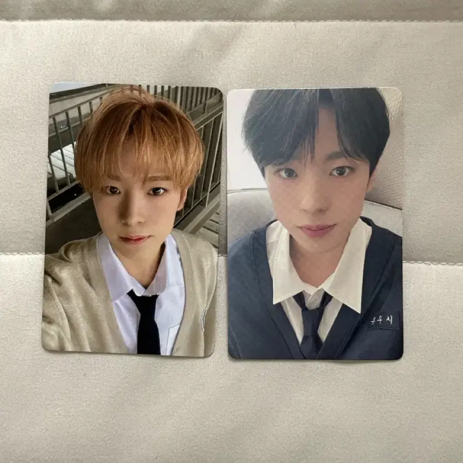 엔시티위시 nct wish 유우시 스쿨오브위시 입장 포카 송버드 이즈위