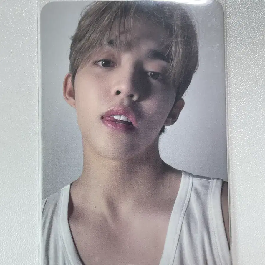 세븐틴 에스쿱스 라잇히어 포카