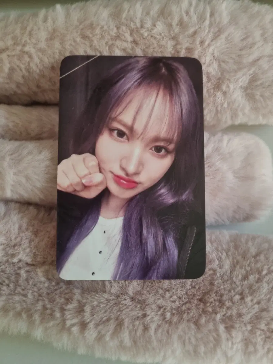 아이브 리즈 포카! 아가라구요 시리즈 특전