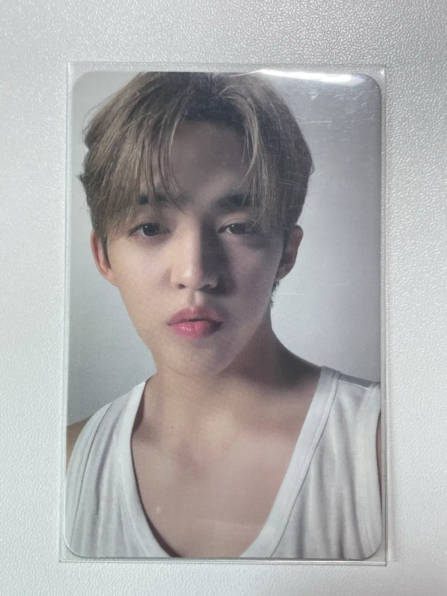 세븐틴 에스쿱스 라잇히어 포카