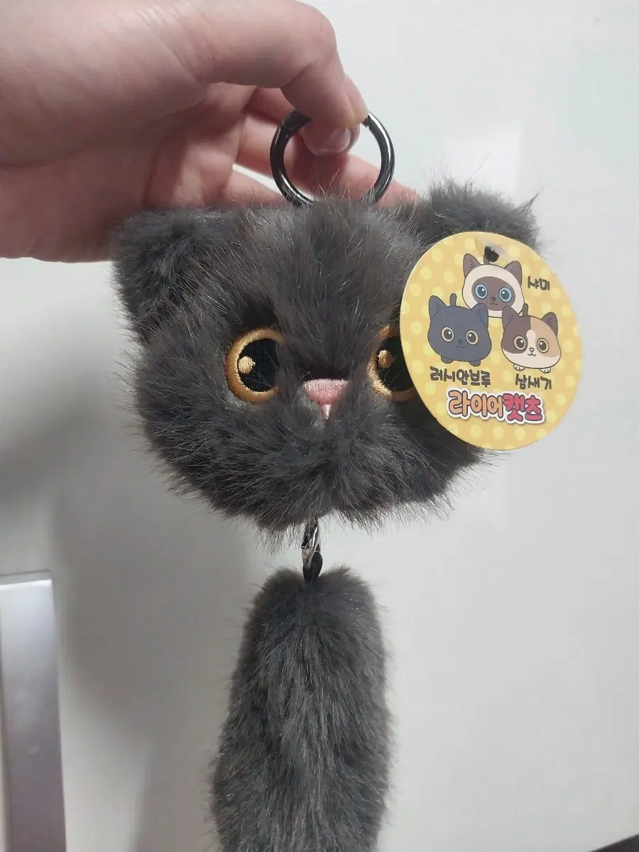 라이어캣츠 고양이털인형키링