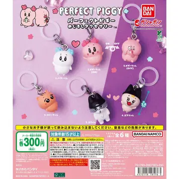 PERFECT PIGGY 메지루시 액세서리 5종 세트