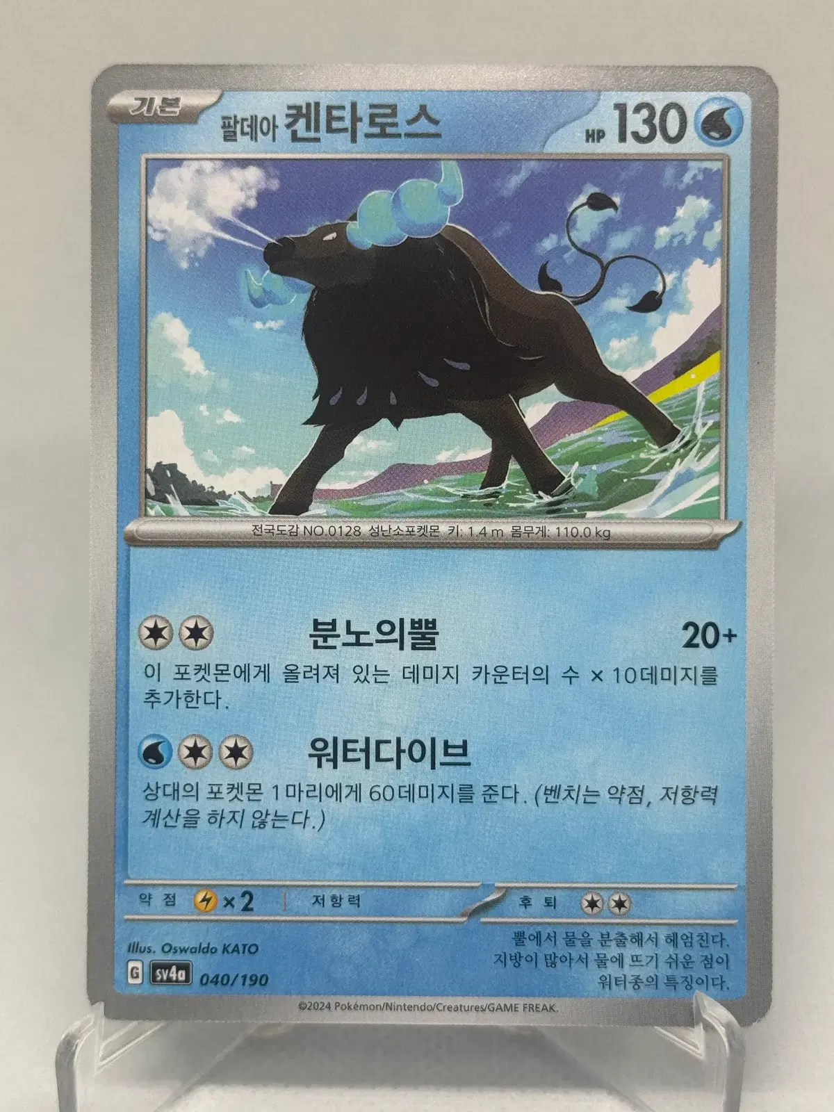 포켓몬카드 한글판 팔데아 켄타로스 일반카드 [sv4a 040/190] 샤이니트레저