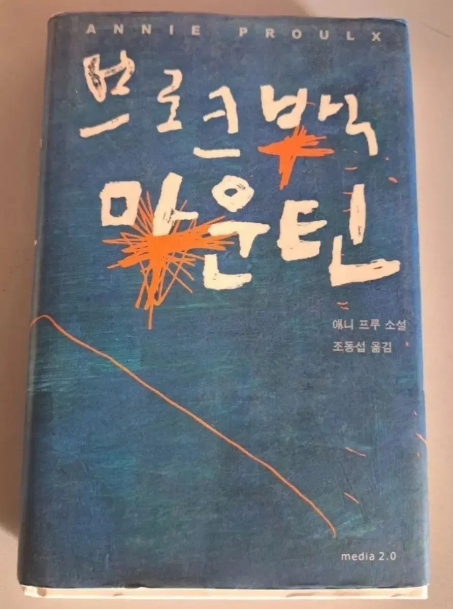 소설책 단권 브로큰 백 마운틴