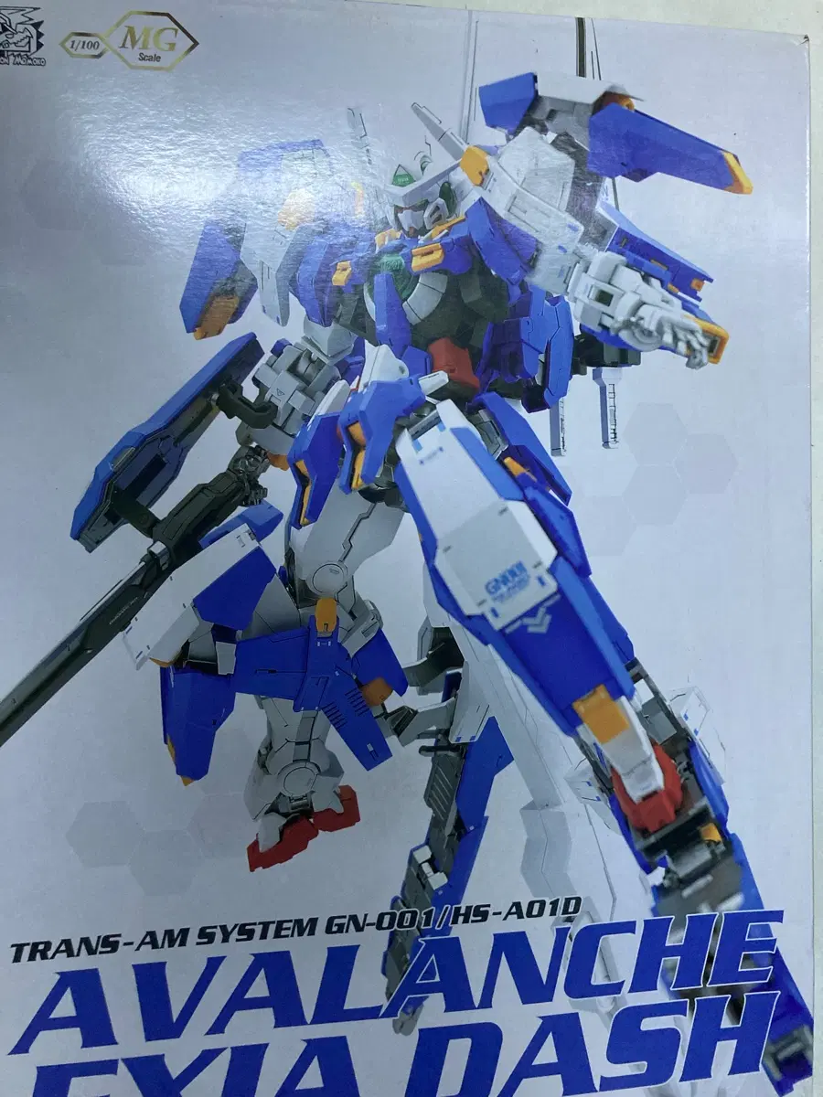용도자 드래곤모모코사 MG 1/100 아발란체 엑시아