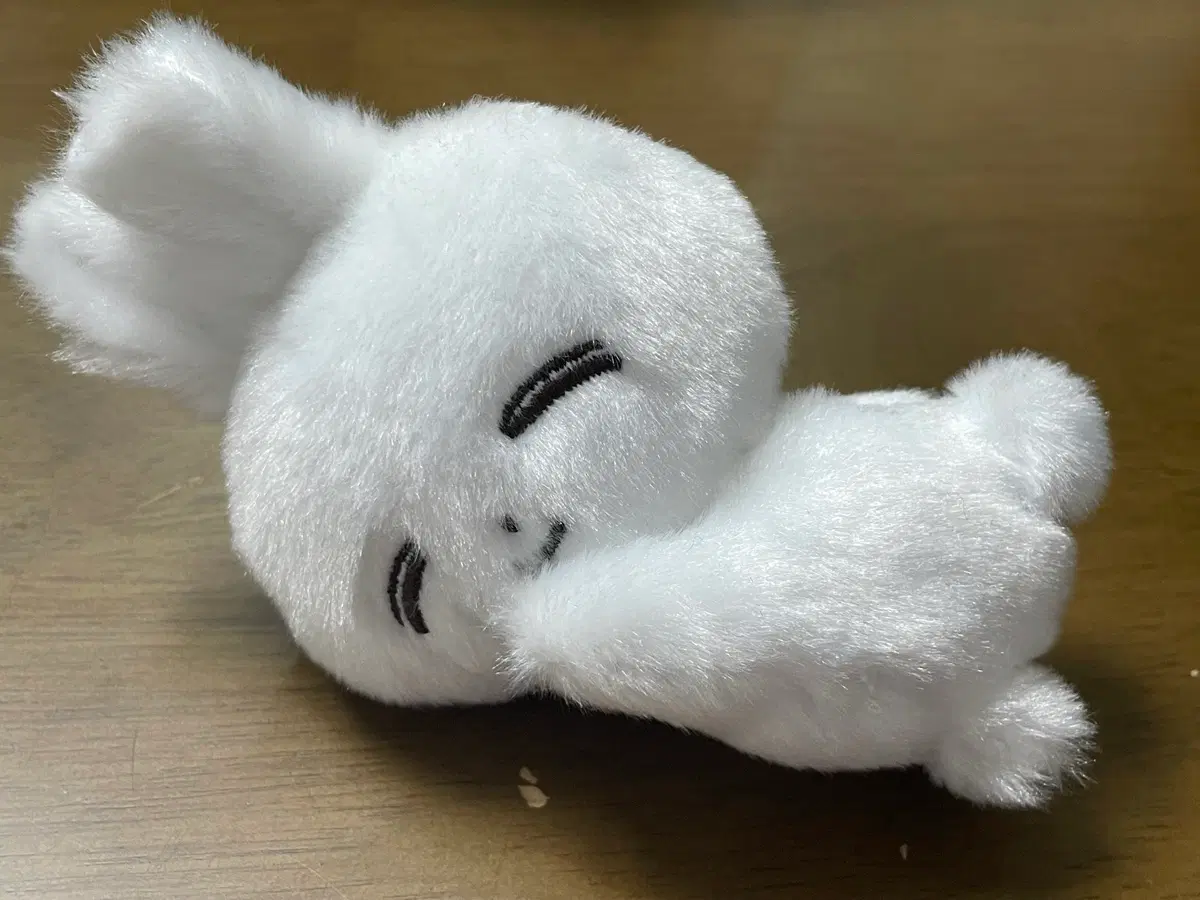 세븐틴 정한 인현 눕쫑이