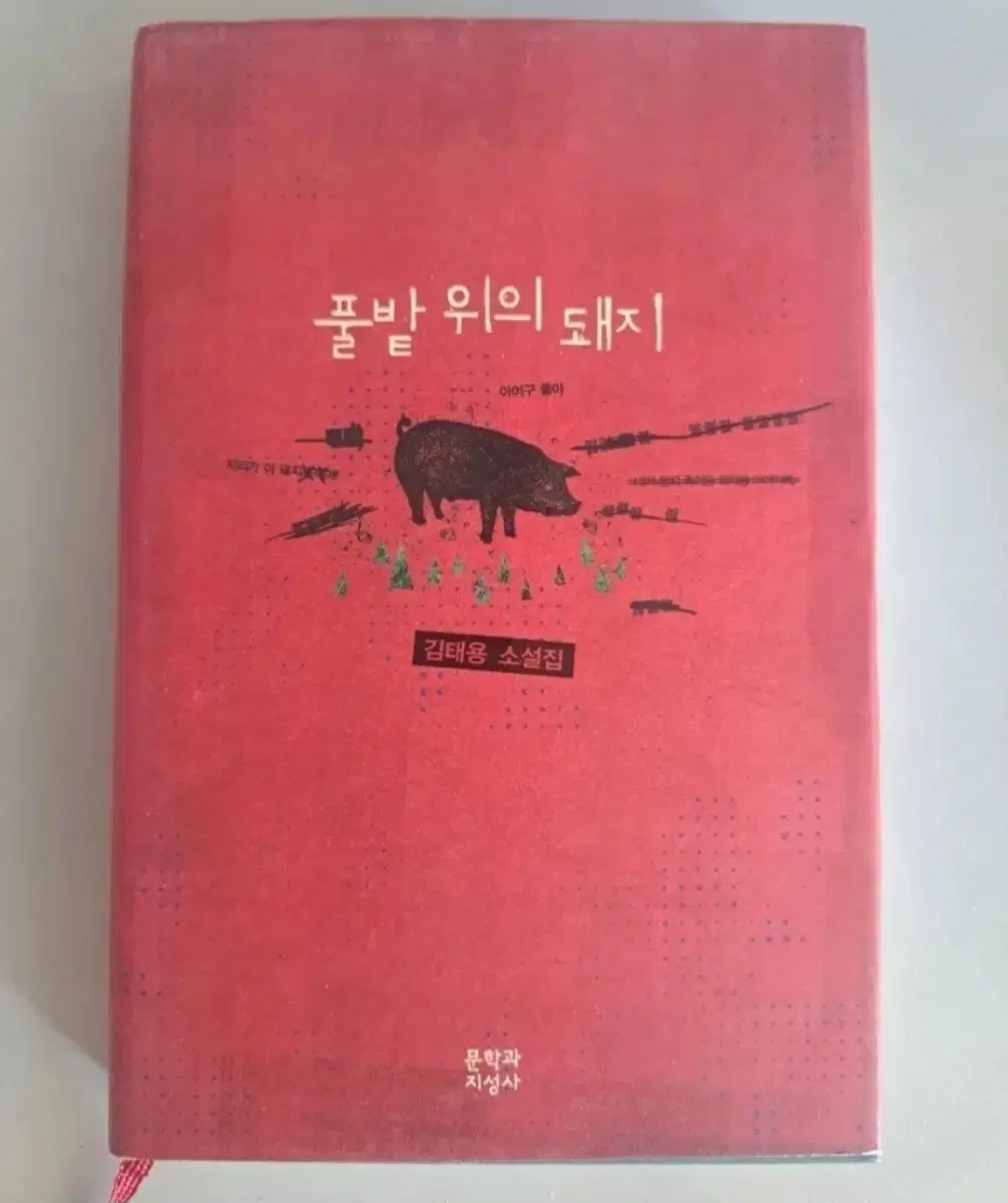 서적 풀밭 위에 돼지