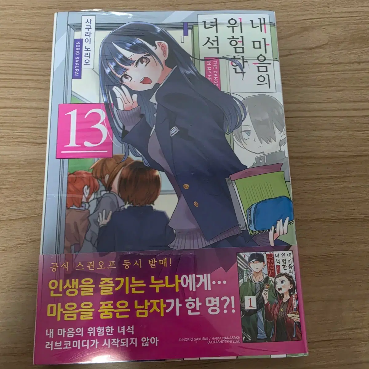 내 마음의 위험한 녀석 13 (초판)