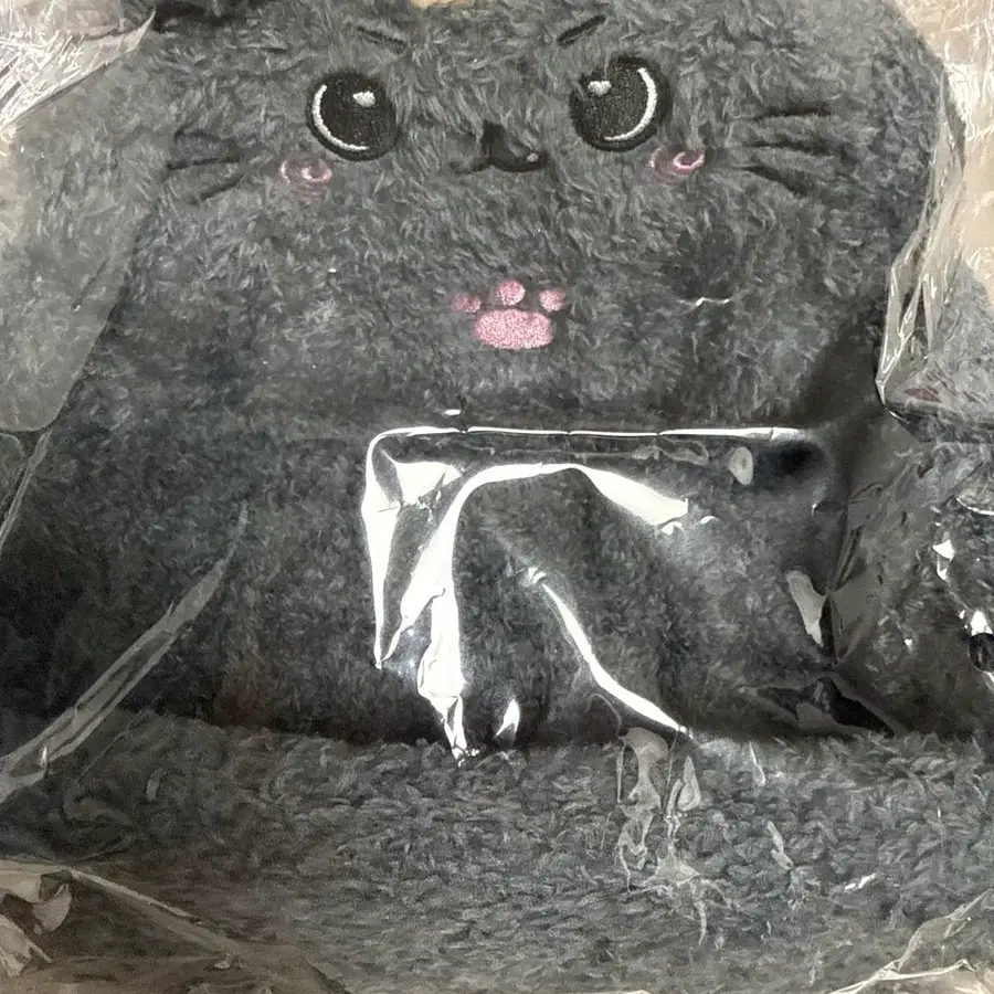 엔시티위시 리쿠 쿠리 멀티 트레이