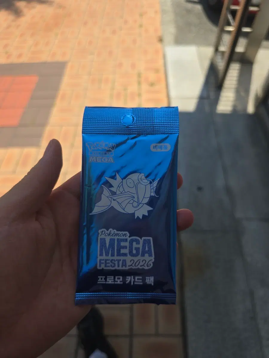 잉어킹 프로모카드