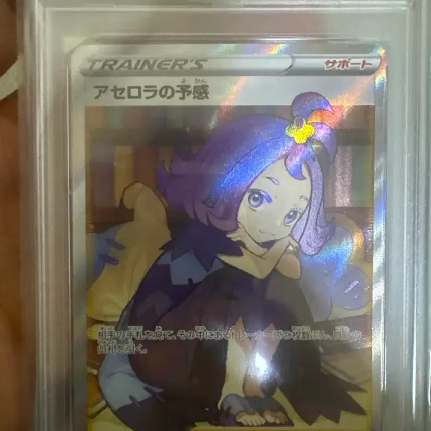 포켓몬 PSA 10 포켓몬 카드 255/184 SR 아세로라의 예감