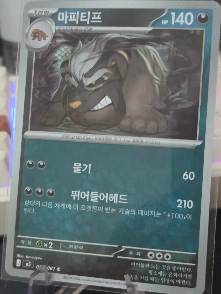 포켓몬카드 마티피프