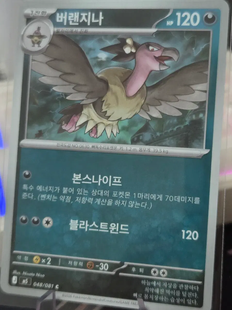 포켓몬카드 버랜지나