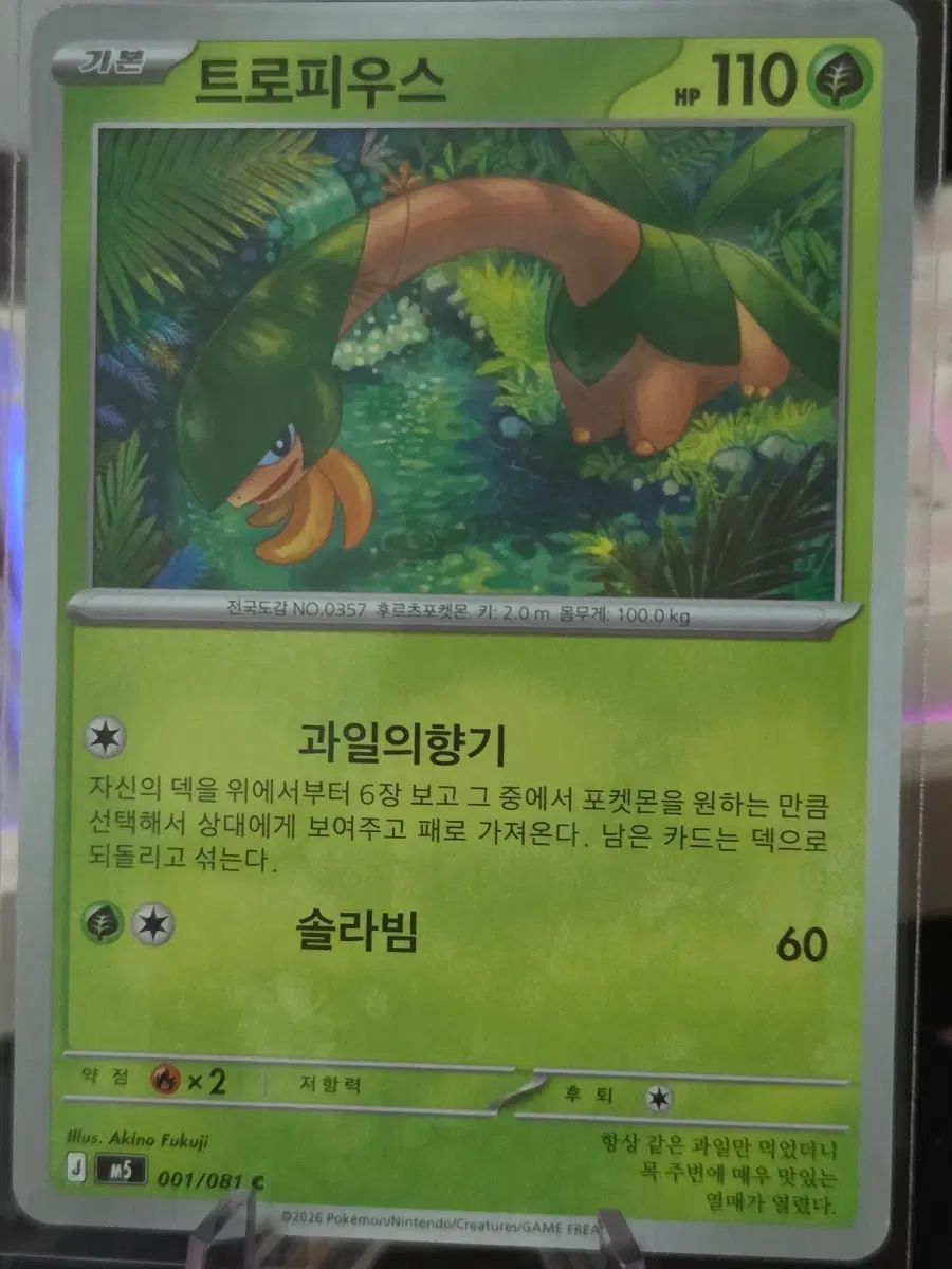 포켓몬 카드 트로피우스