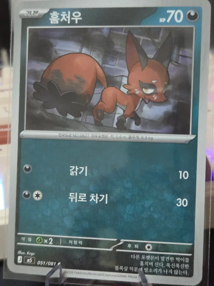 포켓몬카드 훔처우