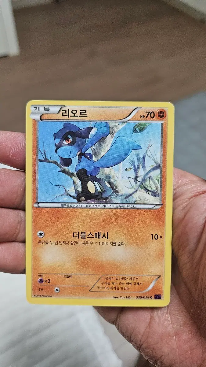 포켓몬카드 고대팩 리오르 카드 팝니다