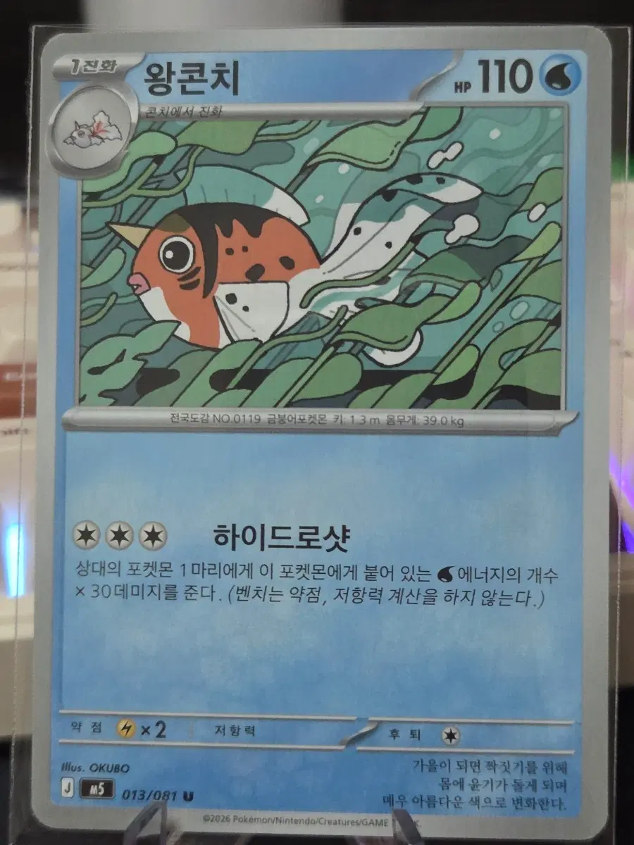 포켓몬카드 왕콘치