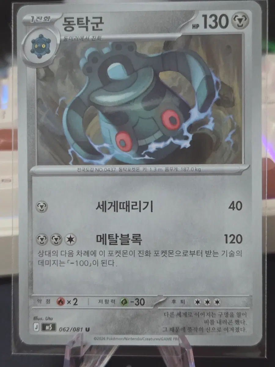 포켓몬카드 동탁군