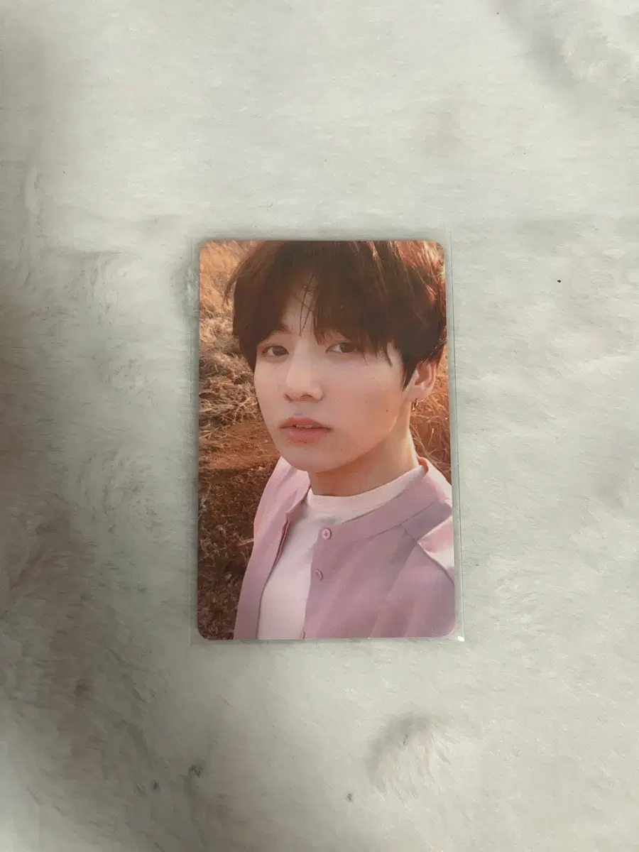 정국 럽셀 티어 Y 버전 포카 양도 전정국 tear 포토카드 방탄 방탄소년단 앨범 LYSF bts poca