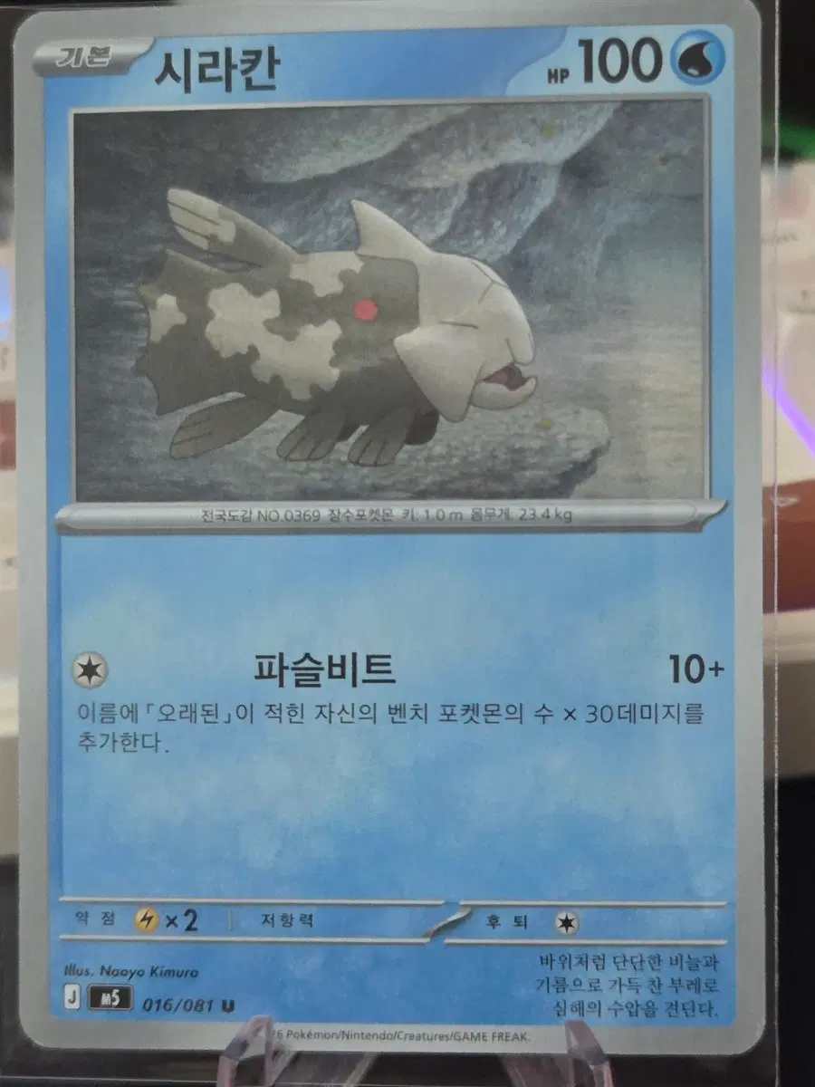 포켓몬카드 시라칸
