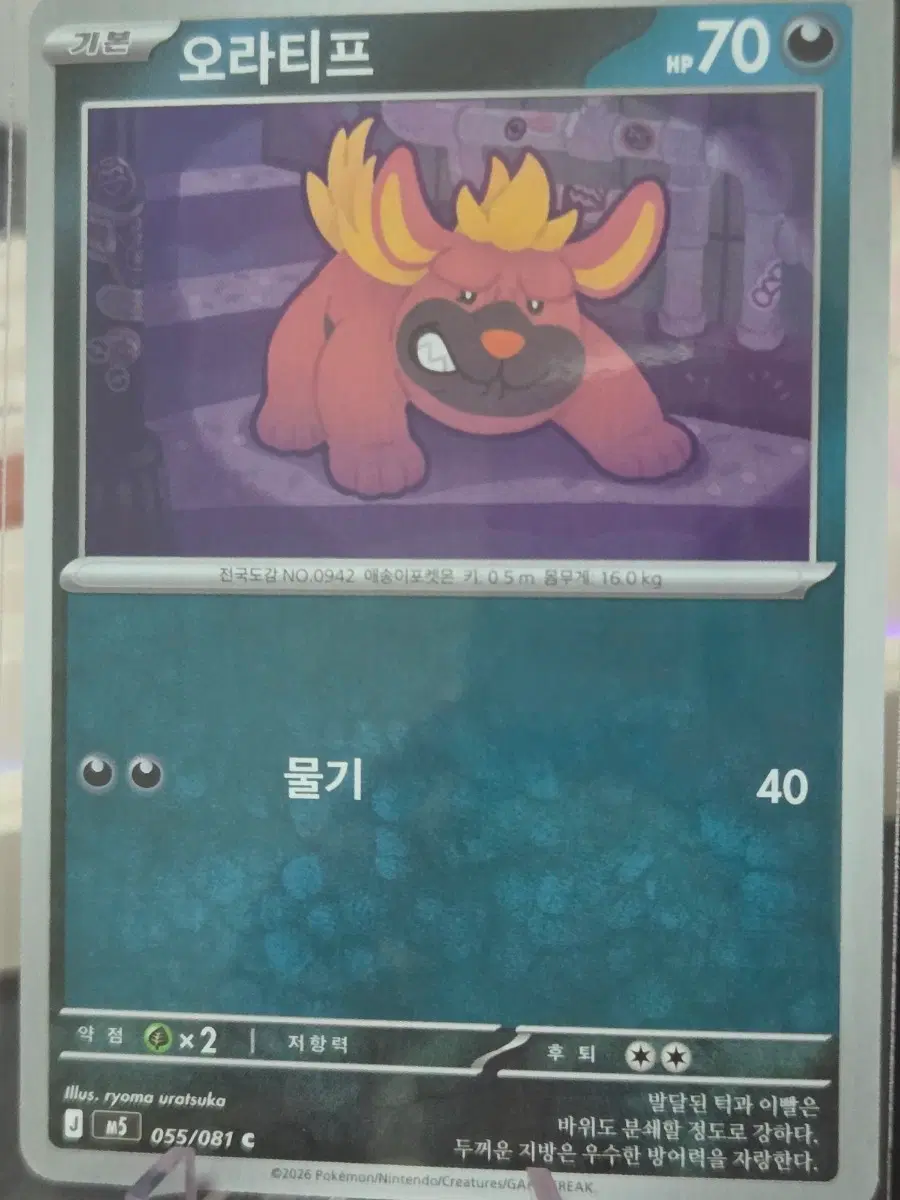 포켓몬카드 오라티프