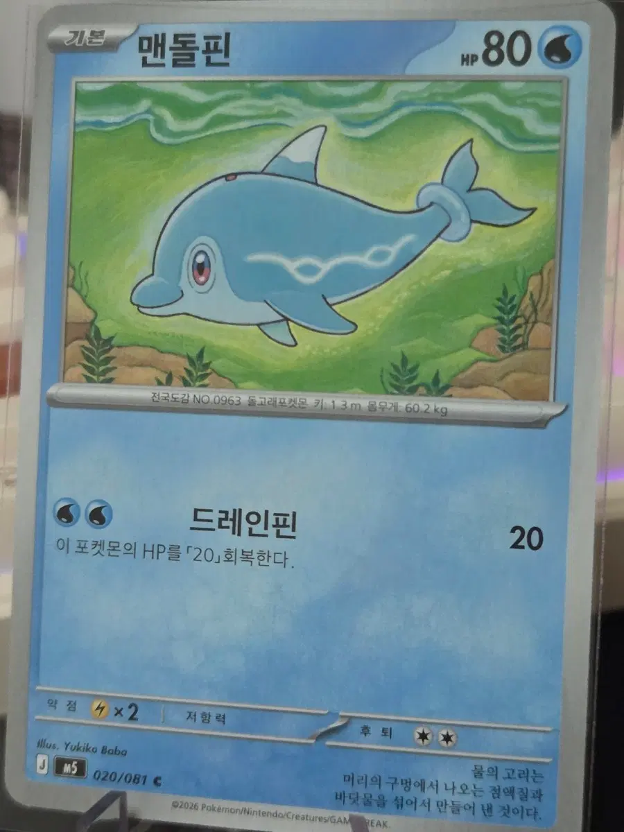 포켓몬카드 맨돌핀