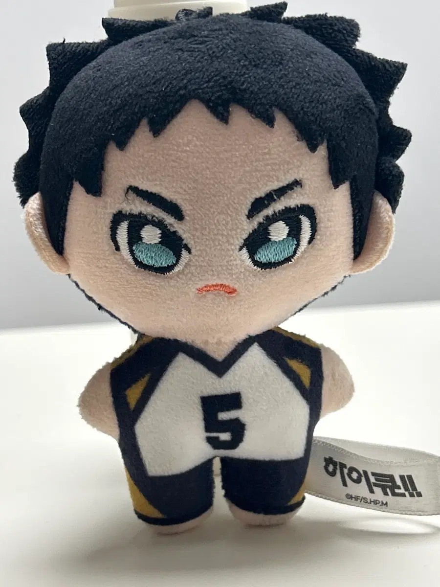 하이큐!! 아카아시 케이지 인형 판매