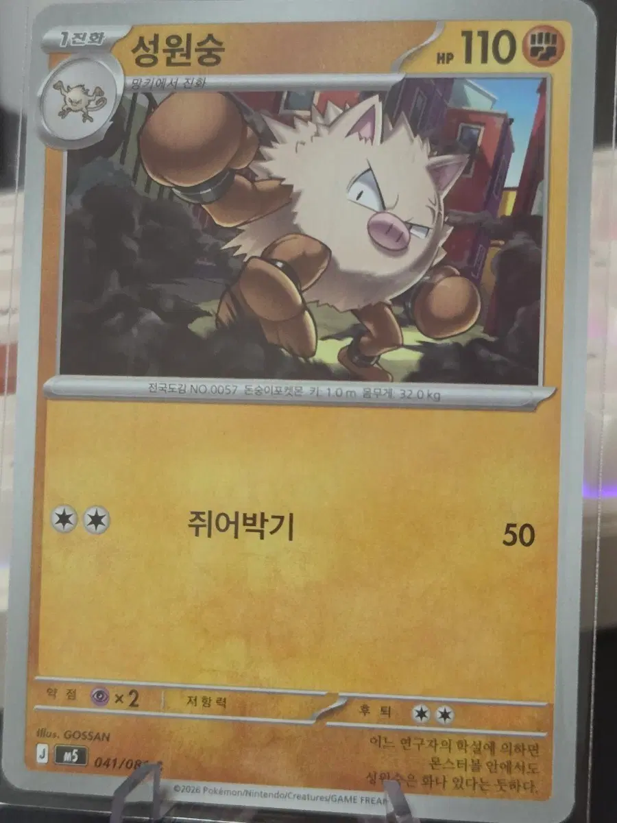 포켓몬카드 성원숭