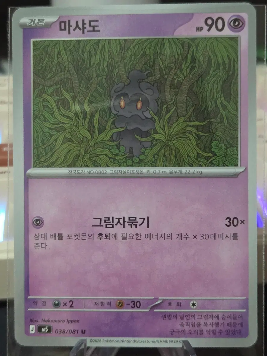 포켓몬카드 마샤도