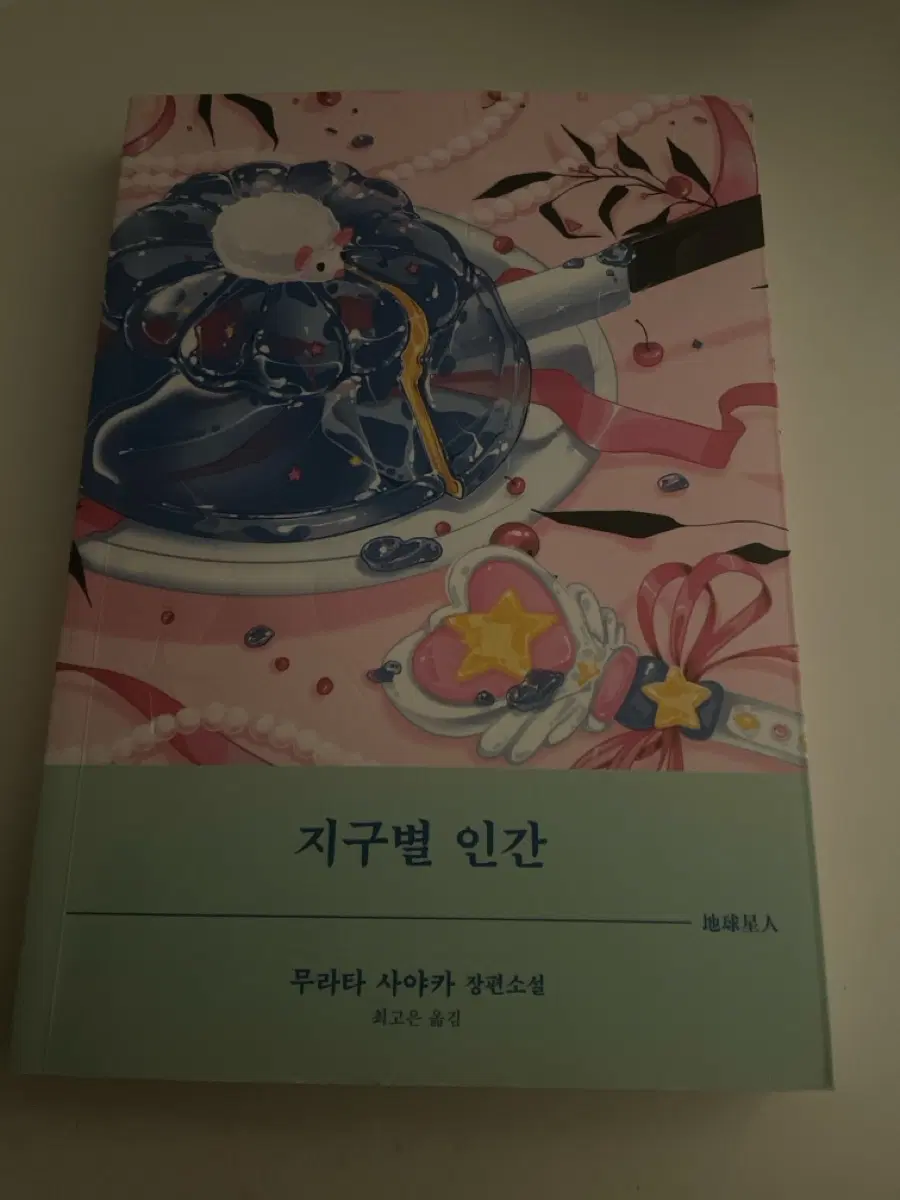 지구별 인간