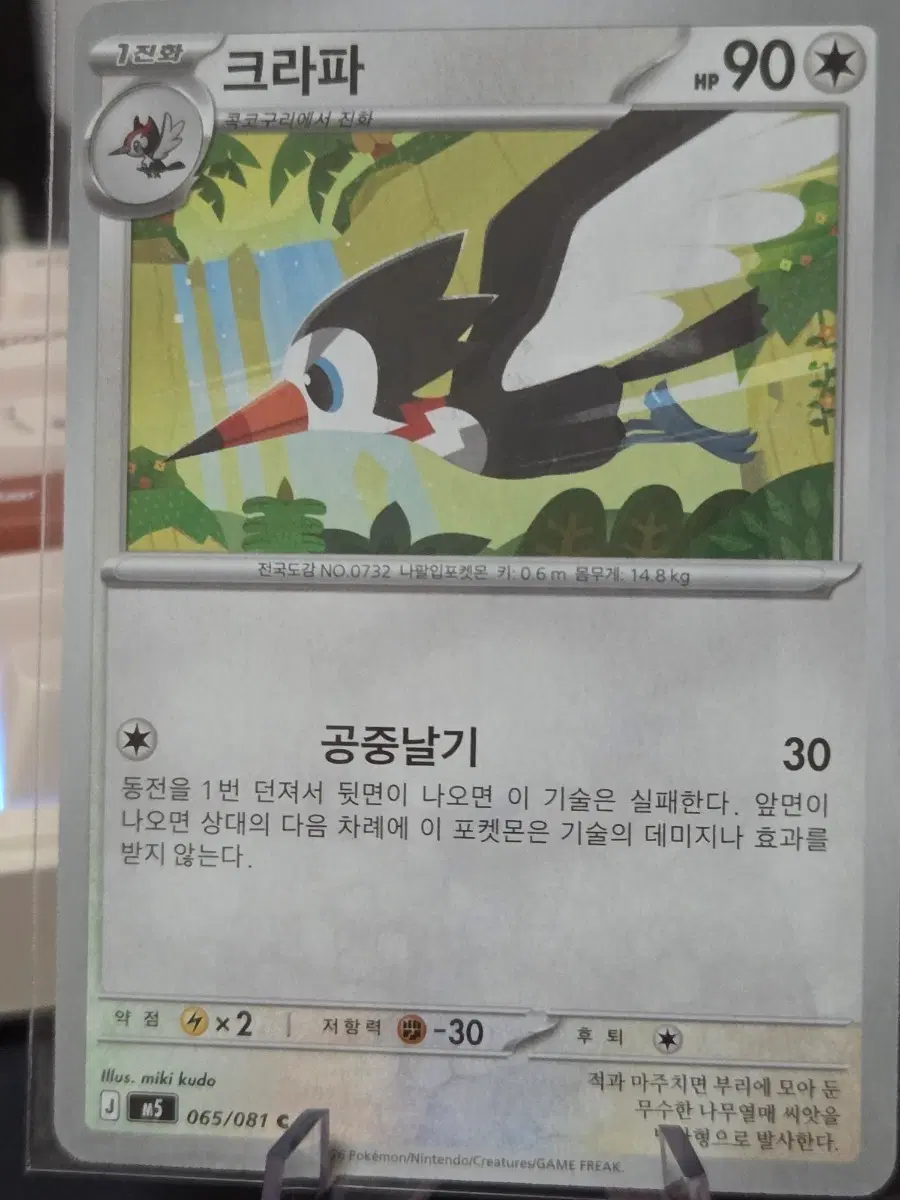 포켓몬카드 크라파