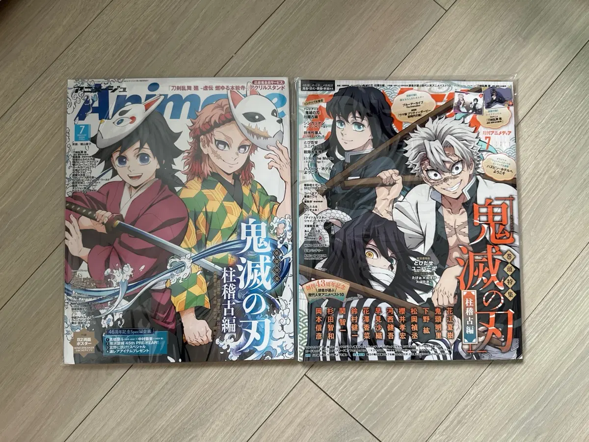 Animag 2024년 7월호 Vol.552 귀멸의 칼날 잡지
