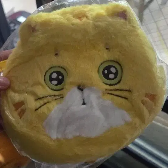 좀비딸 애용이 파우치