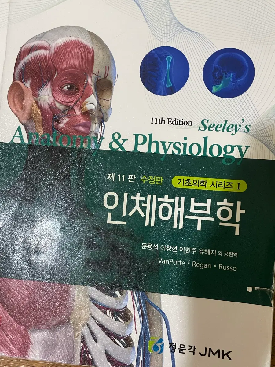 정문각 해부학