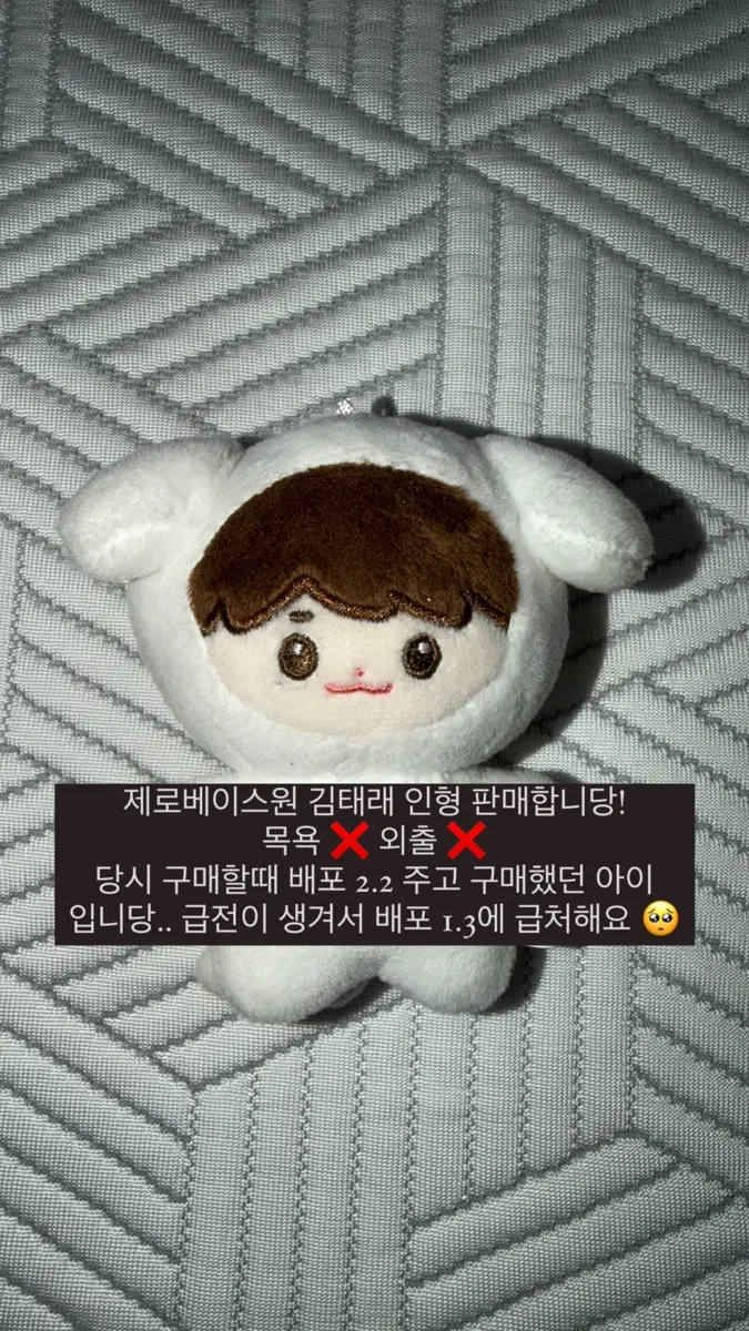 제베원 김태래 인형 판매합니당