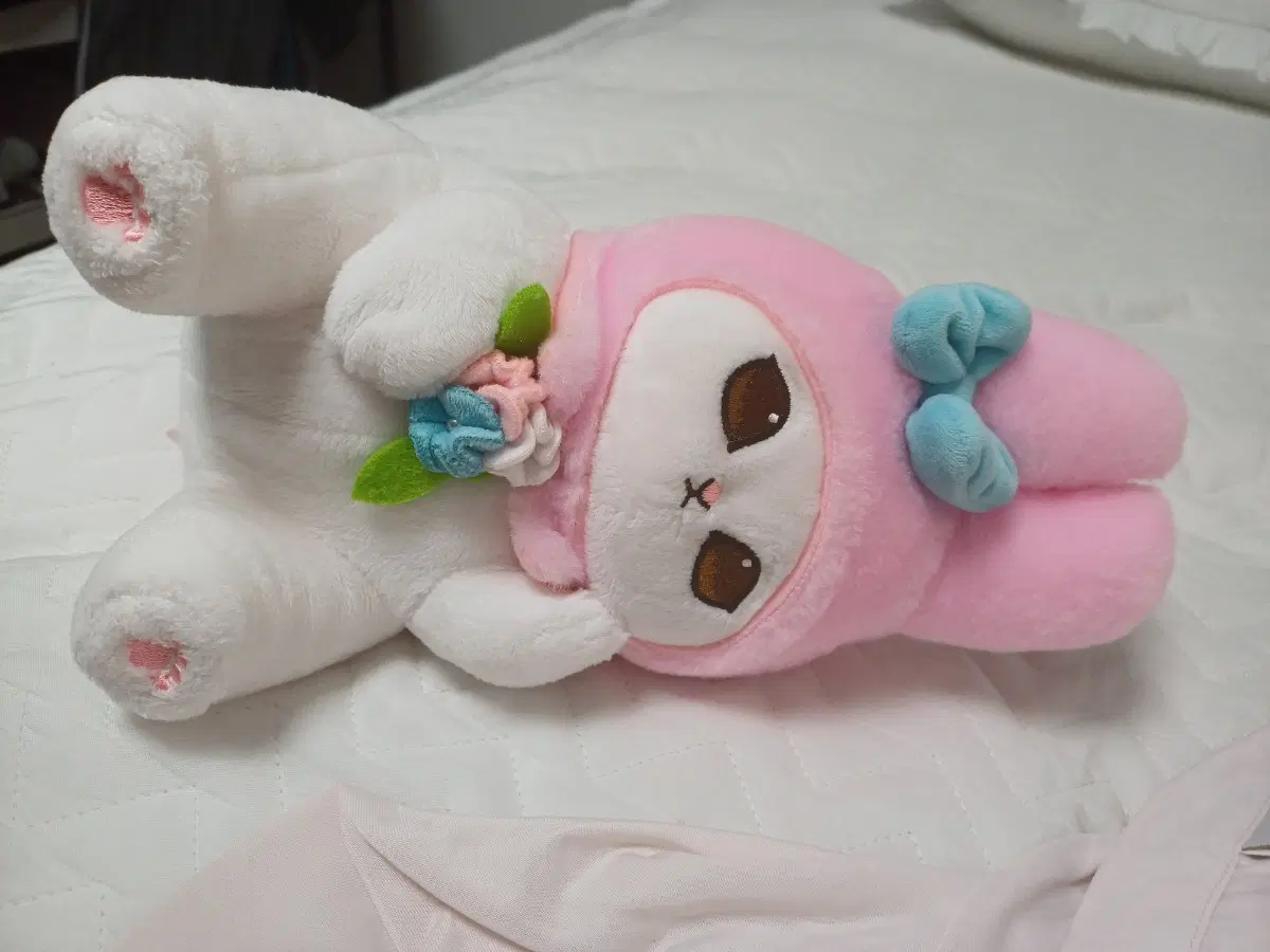 모후샌드