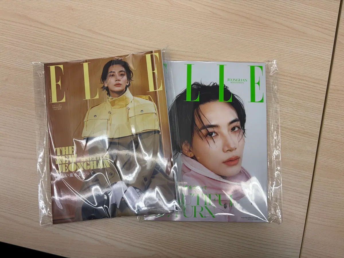 엘르 재팬 정한 2026년 10월호 elle japan