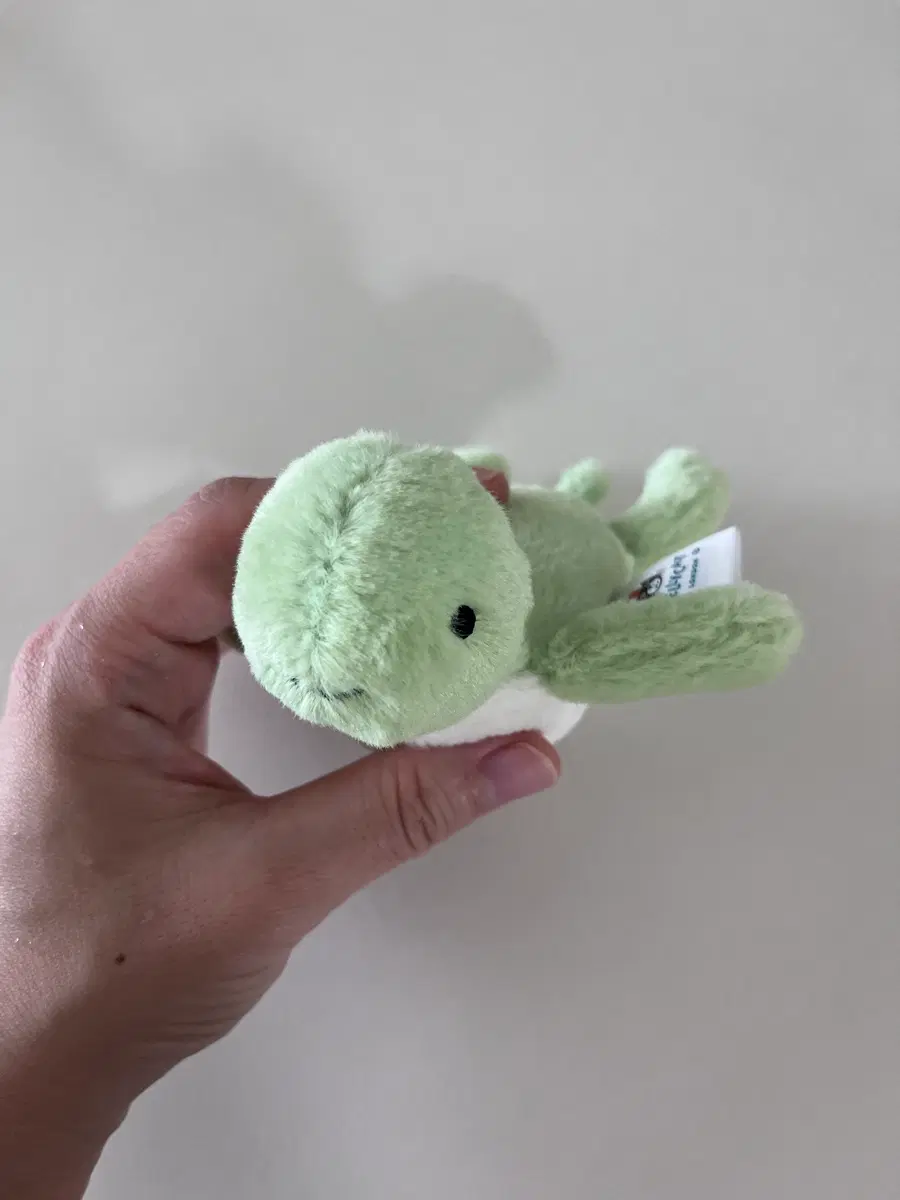 jellycat 젤리캣 거북이