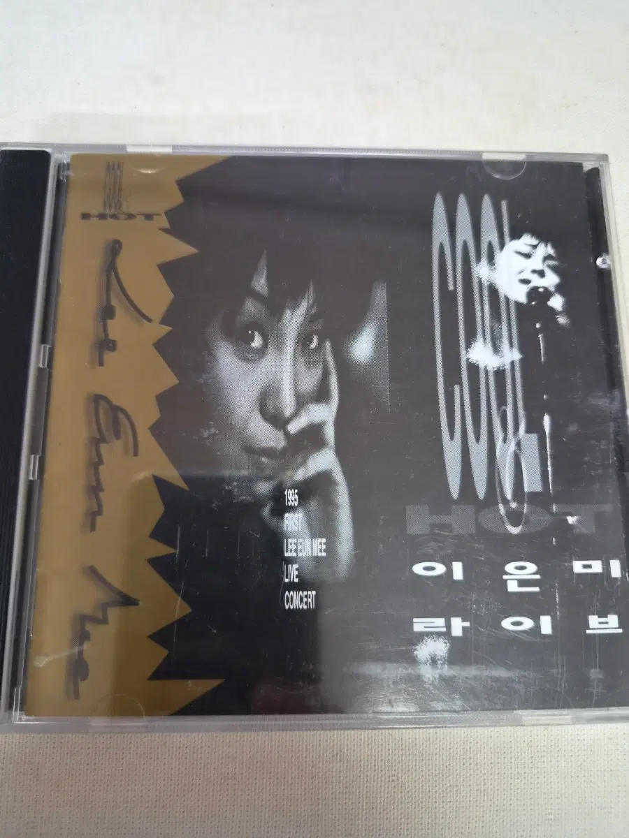이은미 1995 Live Concert