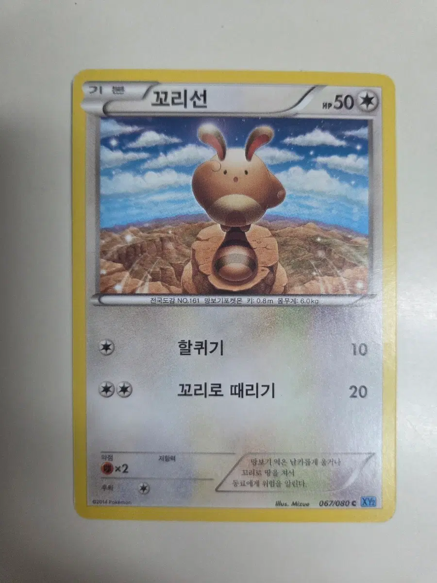 포켓몬카드 꼬리선 067/080 XY2