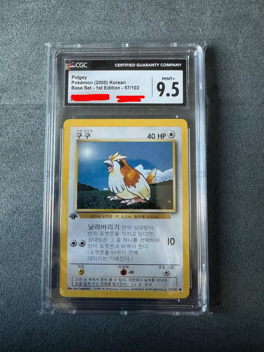 포켓몬 [빈티지/초판] 베이스 셋 구구 cgc 9.5 (Pokemon Base set Korean 1st ed Pidgey vintage)