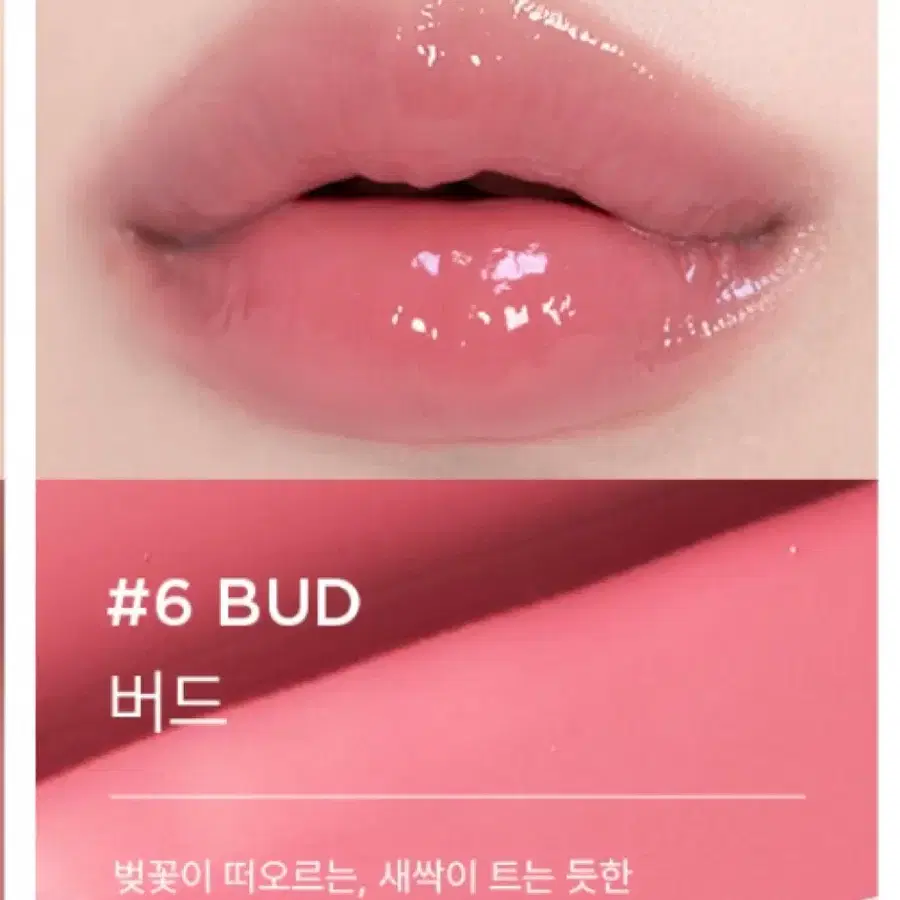 아떼 어센틱 립 글로이 밤 버드