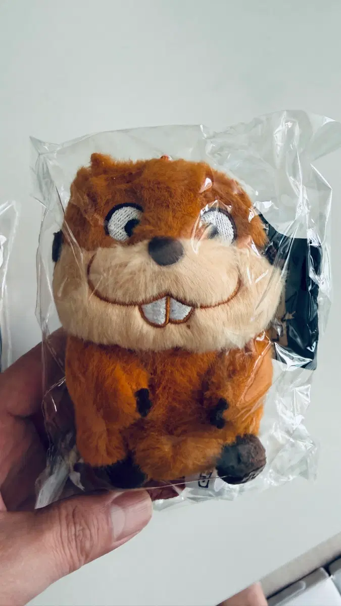 CGV 호퍼스 인형키링