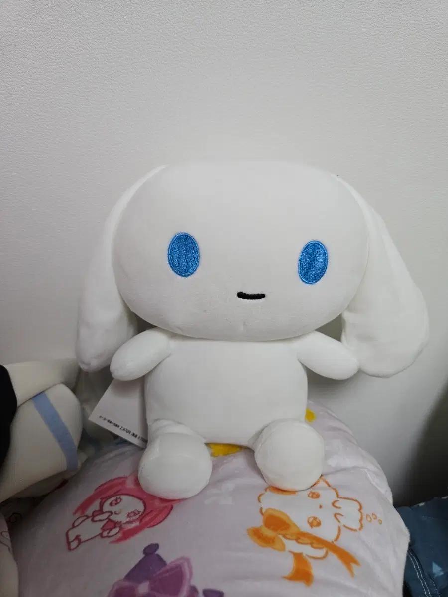 산리오 아이시나모롤 누이구루미 전시품