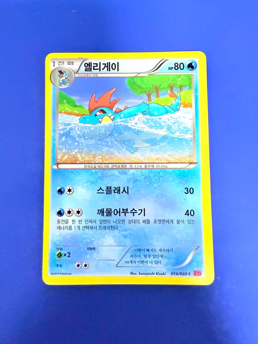 포켓몬카드 2014년 고대카드 XY 엘리게이 카드