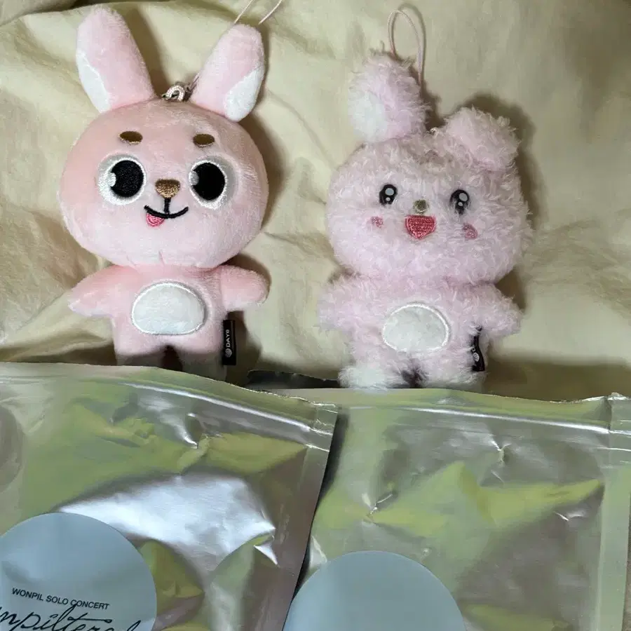 일괄) 데이식스 원필 언필터드 시크릿 키링 메롱필, 초롱필