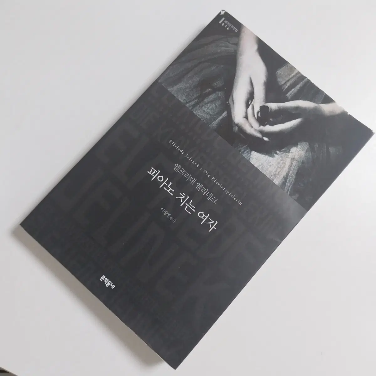 피아노 치는 여자 엘프리데 옐리네크 노벨문학상 문학동네 세계문학전집 소설