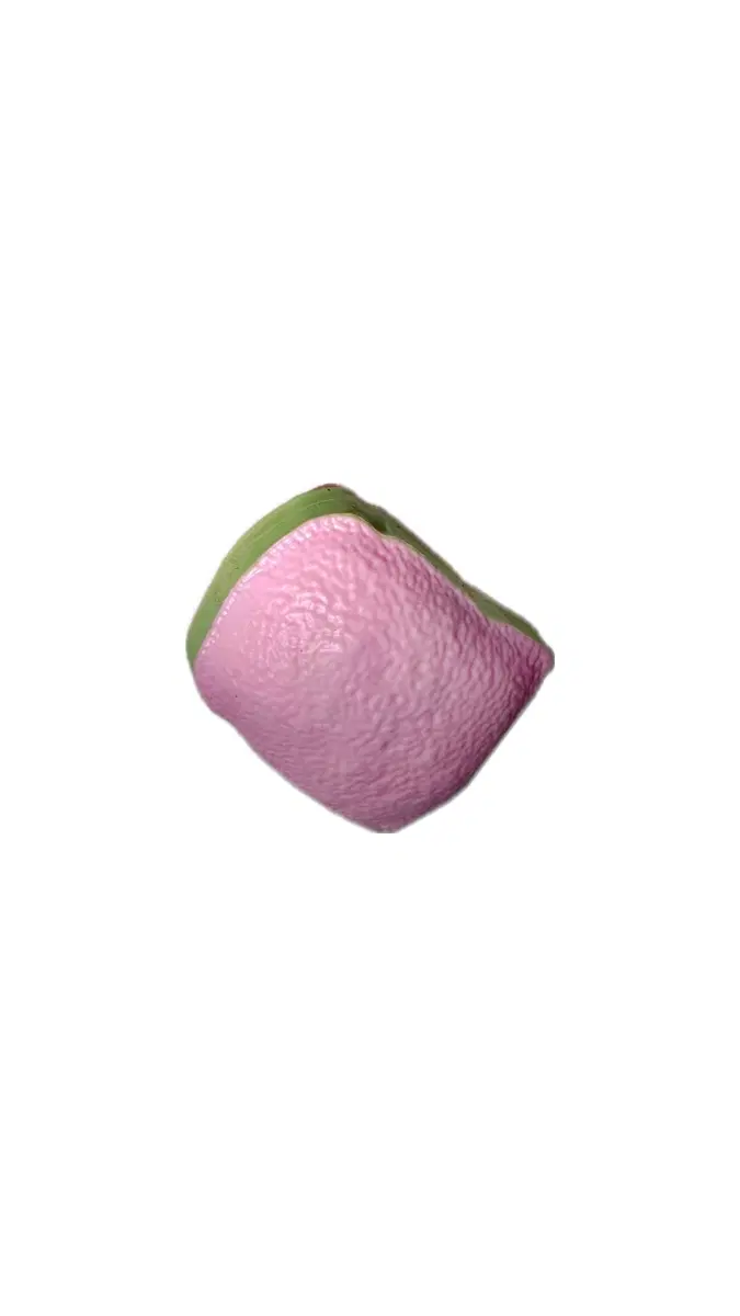구아바 핑크 식빵 말랑이